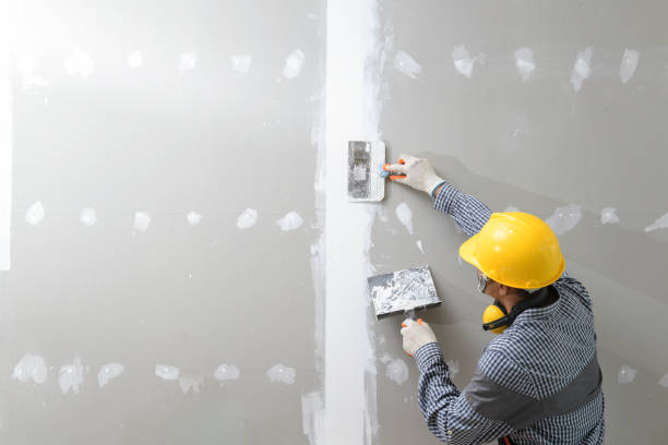 Best Residential Mold Inspection & Testing  in Clinton, AR