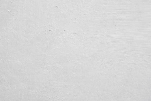 Environmental Consulting for Mold Prevention in Clinton, AR
