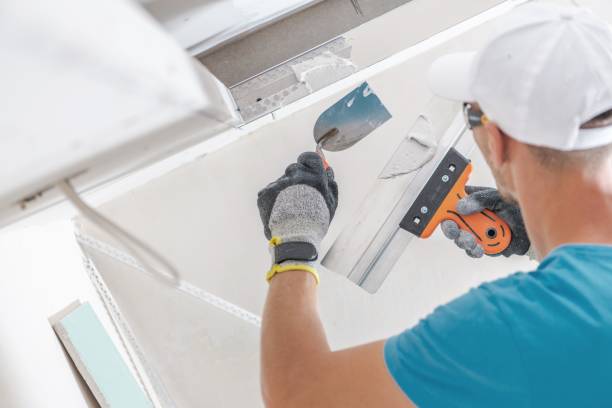 Best Forensic Mold Investigation  in Clinton, AR